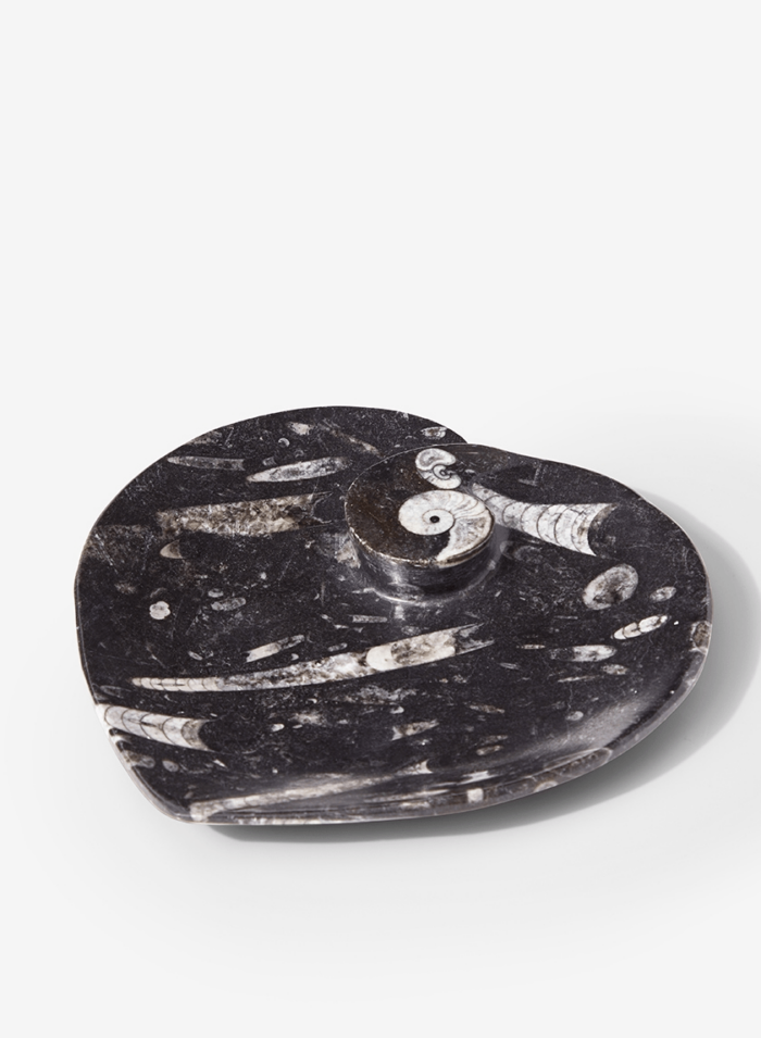 Heart Shaped Moroccan Ammonoid Plate - Image 1